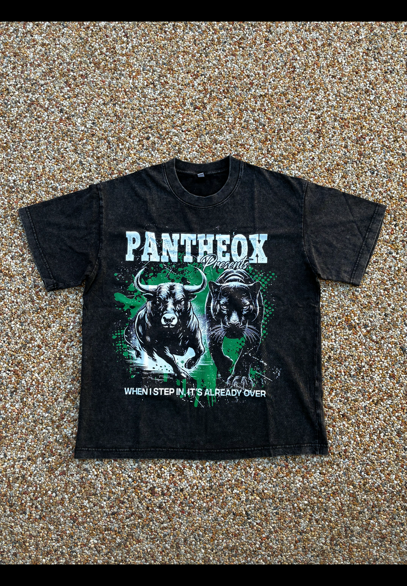 Endgame Entry T-Shirt